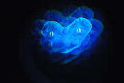 Effekte im Psychodelic (Foto: Ingrid Grossmann)